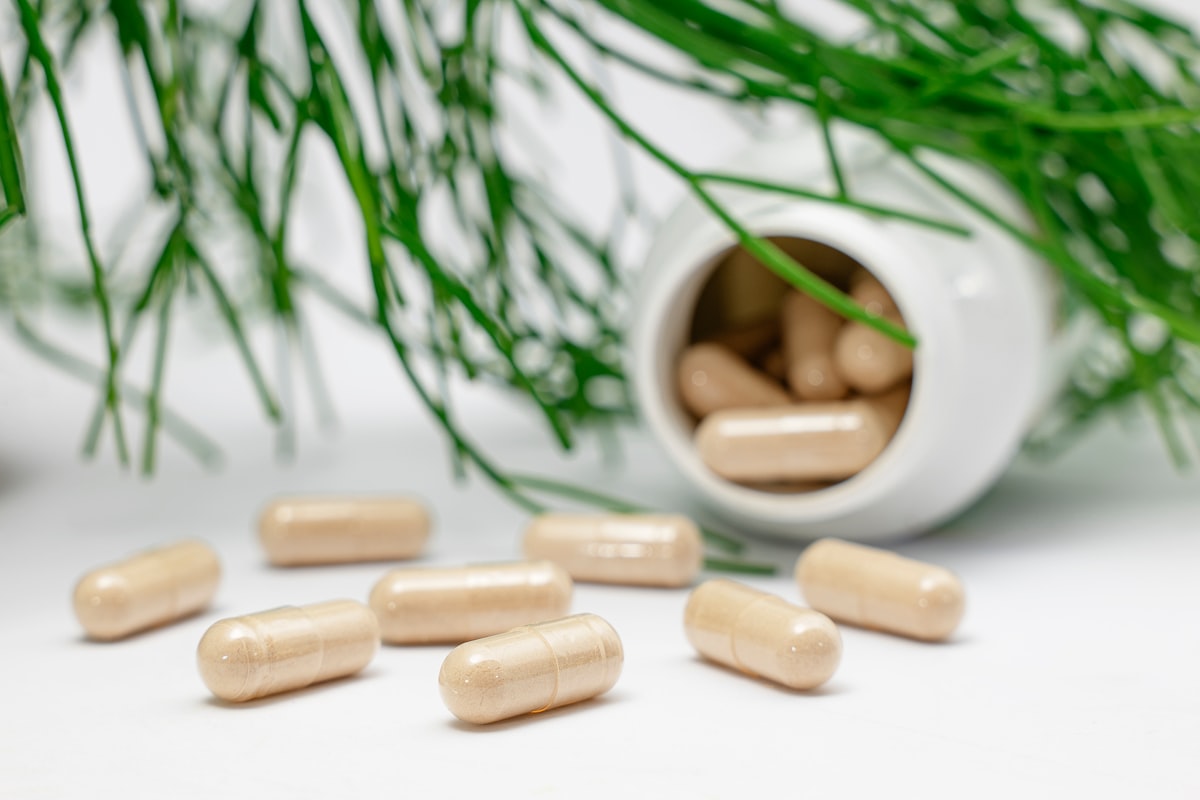 Recovery nutrition timeline